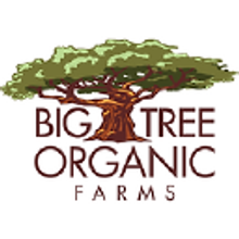 Big Tree Organic Farms