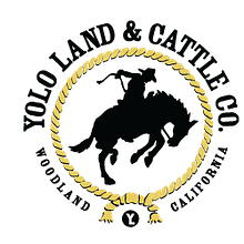 Yolo Land and Cattle