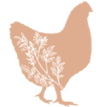 Hen and Harvest Farm